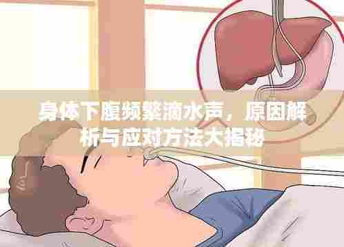 身体下腹频繁滴水声，原因解析与应对方法大揭秘