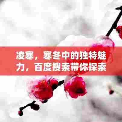 凌寒，寒冬中的独特魅力，百度搜索带你探索更多精彩内容！