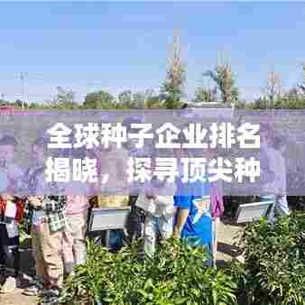 全球种子企业排名揭晓，探寻顶尖种子站，引领农业创新之路