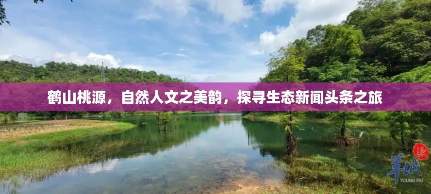 鹤山桃源,自然人文之美韵,探寻生态新闻头条之旅