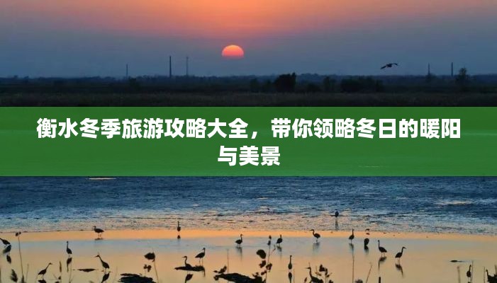 衡水冬季旅游攻略大全,带你领略冬日的暖阳与美景