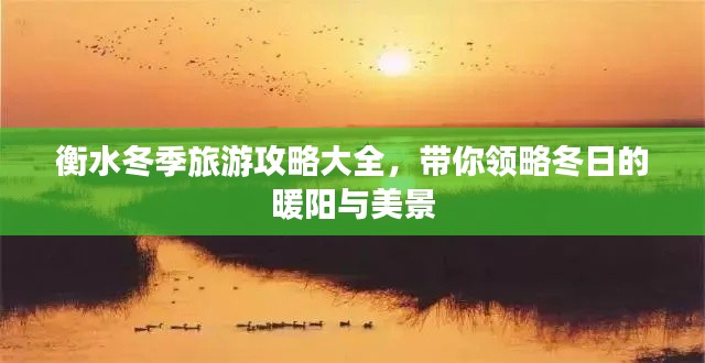 衡水冬季旅游攻略大全,带你领略冬日的暖阳与美景