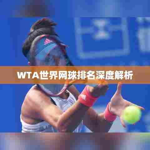 WTA世界网球排名深度解析