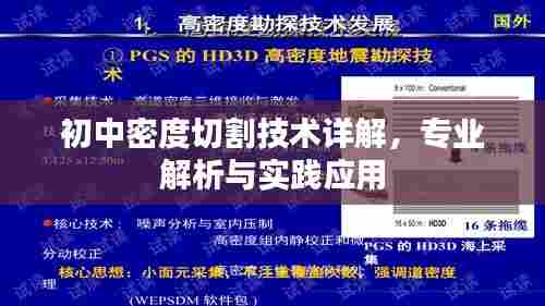 初中密度切割技术详解,专业解析与实践应用