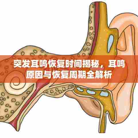浅笑轻吟梦一曲 第5页