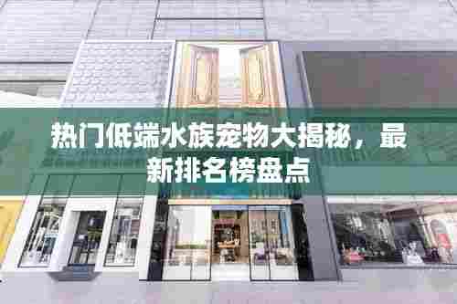 热门低端水族宠物大揭秘,最新排名榜盘点