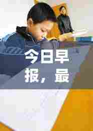 今日早报,最新菜价动态及图片概览