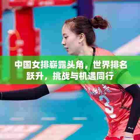 中国女排崭露头角，世界排名跃升，挑战与机遇同行