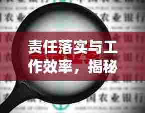 责任落实与工作效率，揭秘实际工作执行背后的秘密