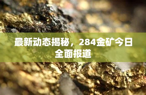 最新动态揭秘,284金矿今日全面报道