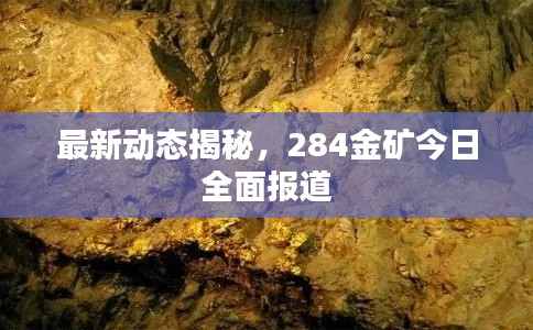 最新动态揭秘,284金矿今日全面报道