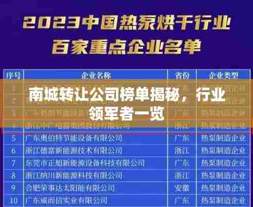 南城转让公司榜单揭秘，行业领军者一览