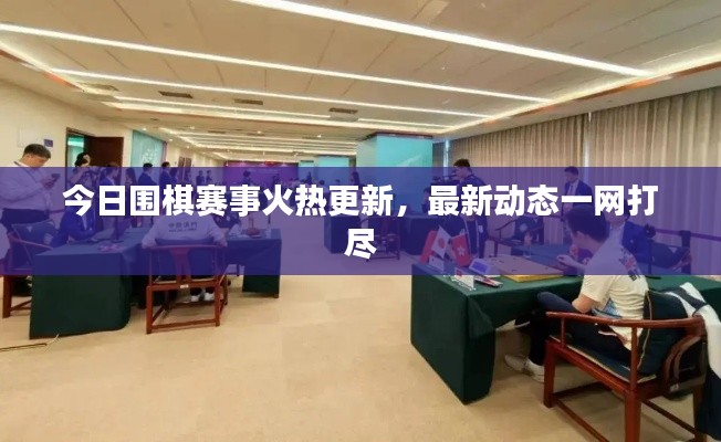 今日围棋赛事火热更新，最新动态一网打尽