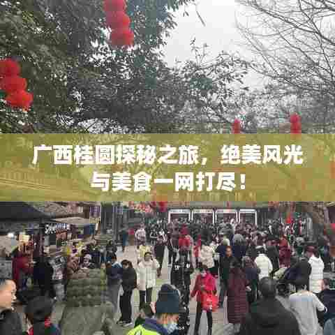 广西桂圆探秘之旅,绝美风光与美食一网打尽!