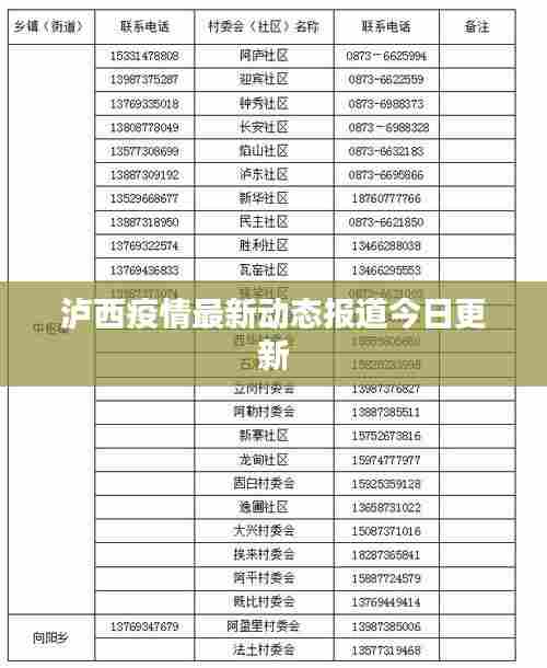泸西疫情最新动态报道今日更新