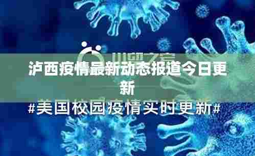 泸西疫情最新动态报道今日更新