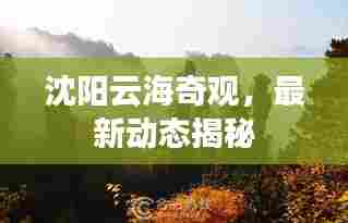 沈阳云海奇观,最新动态揭秘