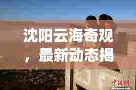 沈阳云海奇观,最新动态揭秘