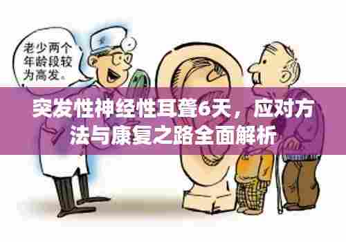 大张旗鼓 第6页