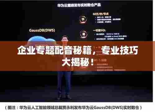 企业专题配音秘籍,专业技巧大揭秘!