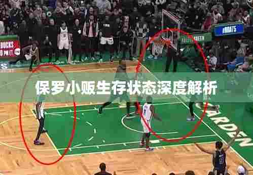 保罗小贩生存状态深度解析