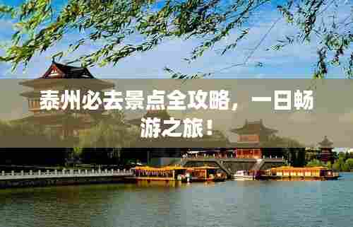 泰州必去景点全攻略，一日畅游之旅！