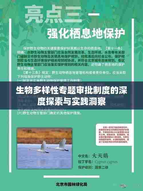 生物多样性专题审批制度的深度探索与实践洞察