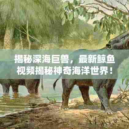 揭秘深海巨兽,最新鲸鱼视频揭秘神奇海洋世界!