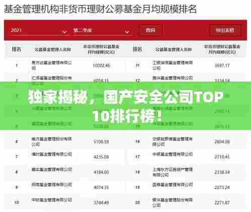 独家揭秘,国产安全公司TOP10排行榜!