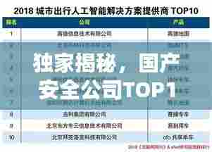 独家揭秘,国产安全公司TOP10排行榜!