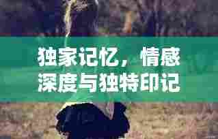 独家记忆,情感深度与独特印记的炽热之吻体验