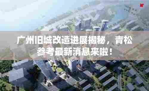 广州旧城改造进展揭秘，青松参考最新消息来啦！