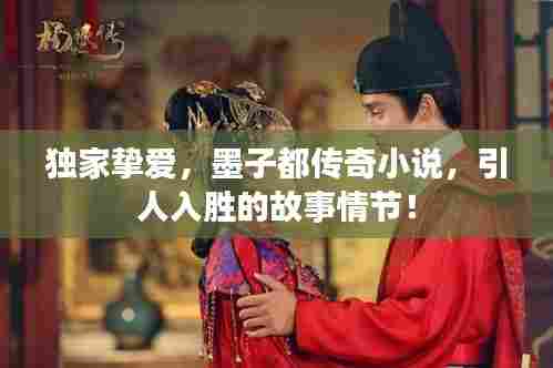 独家挚爱,墨子都传奇小说,引人入胜的故事情节!