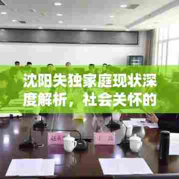 沈阳失独家庭现状深度解析，社会关怀的迫切需求（2022）
