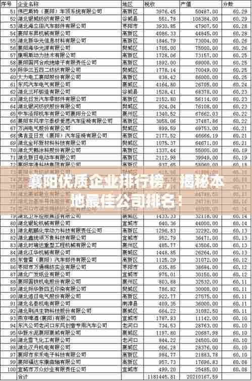 襄阳优质企业排行榜,揭秘本地最佳公司排名!