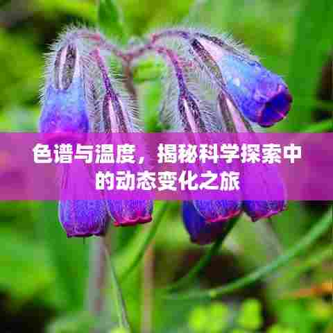 色谱与温度,揭秘科学探索中的动态变化之旅