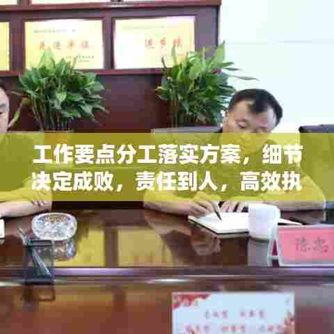 工作要点分工落实方案,细节决定成败,责任到人,高效执行!