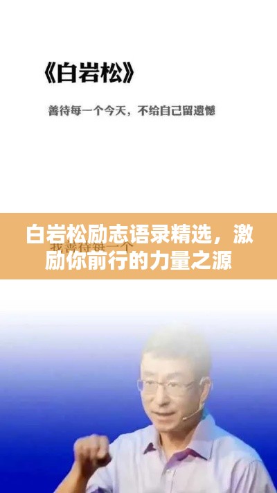 白岩松励志语录精选,激励你前行的力量之源