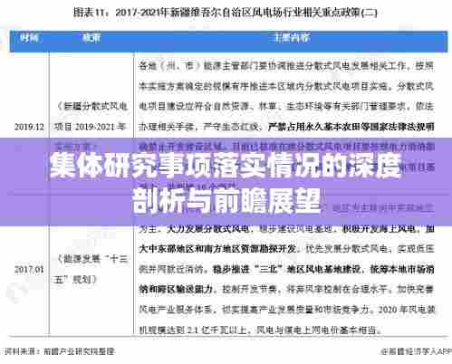 集体研究事项落实情况的深度剖析与前瞻展望