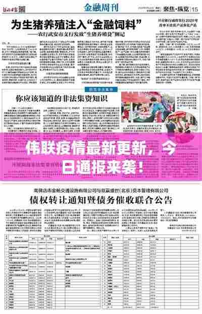 小家碧玉 第7页