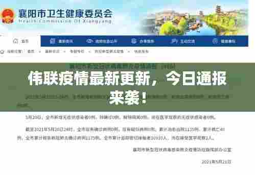 伟联疫情最新更新,今日通报来袭!