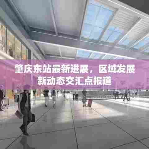 肇庆东站最新进展,区域发展新动态交汇点报道