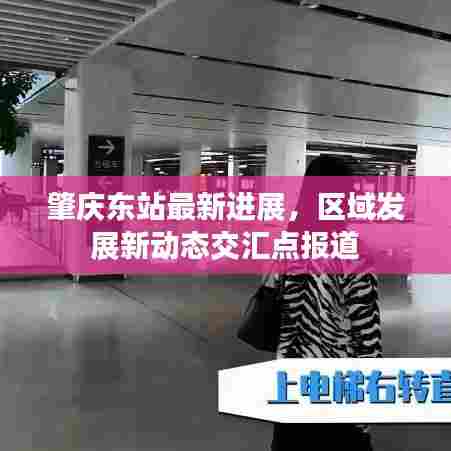 肇庆东站最新进展,区域发展新动态交汇点报道