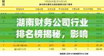湖南财务公司行业排名榜揭秘，影响力与业绩的双重考量