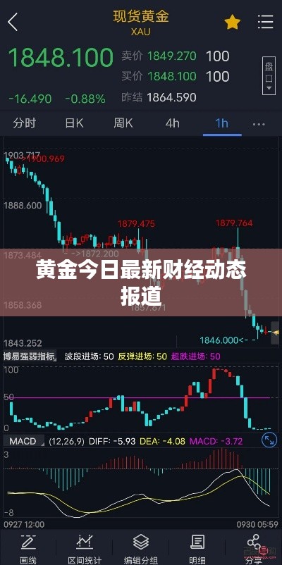 黄金今日最新财经动态报道