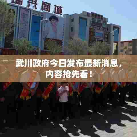 武川政府今日发布最新消息,内容抢先看!