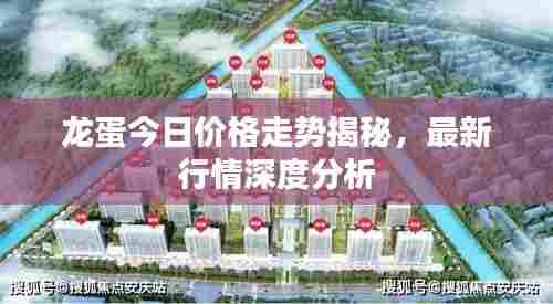龙蛋今日价格走势揭秘，最新行情深度分析