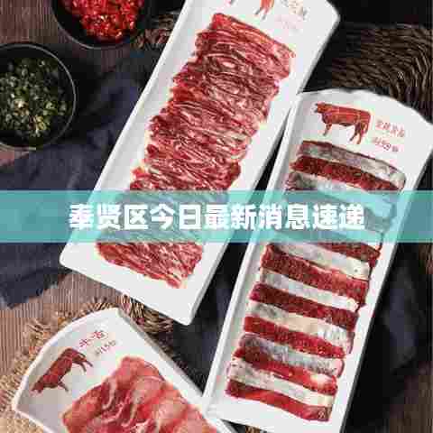 奉贤区今日最新消息速递