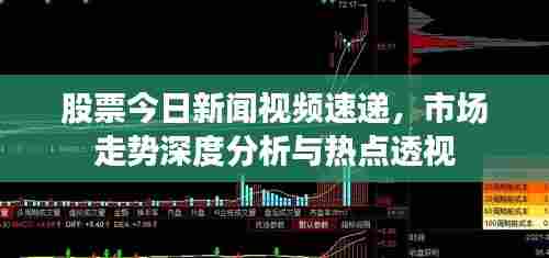股票今日新闻视频速递,市场走势深度分析与热点透视