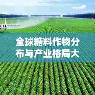 窗明几净 第6页